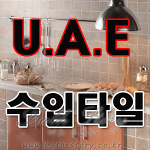 바스스토리RAK UAE 수입타일 100*100/주방타일/벽타일/욕실타일